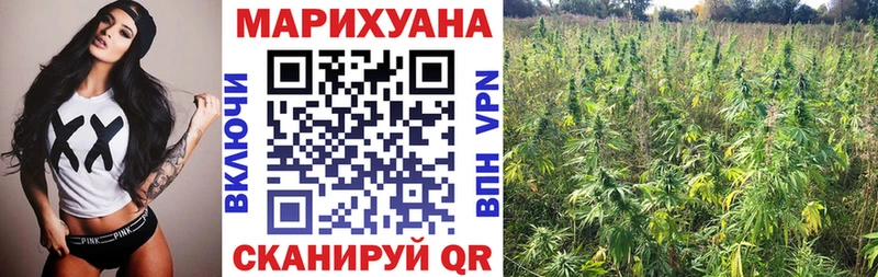 Конопля гибрид Обнинск